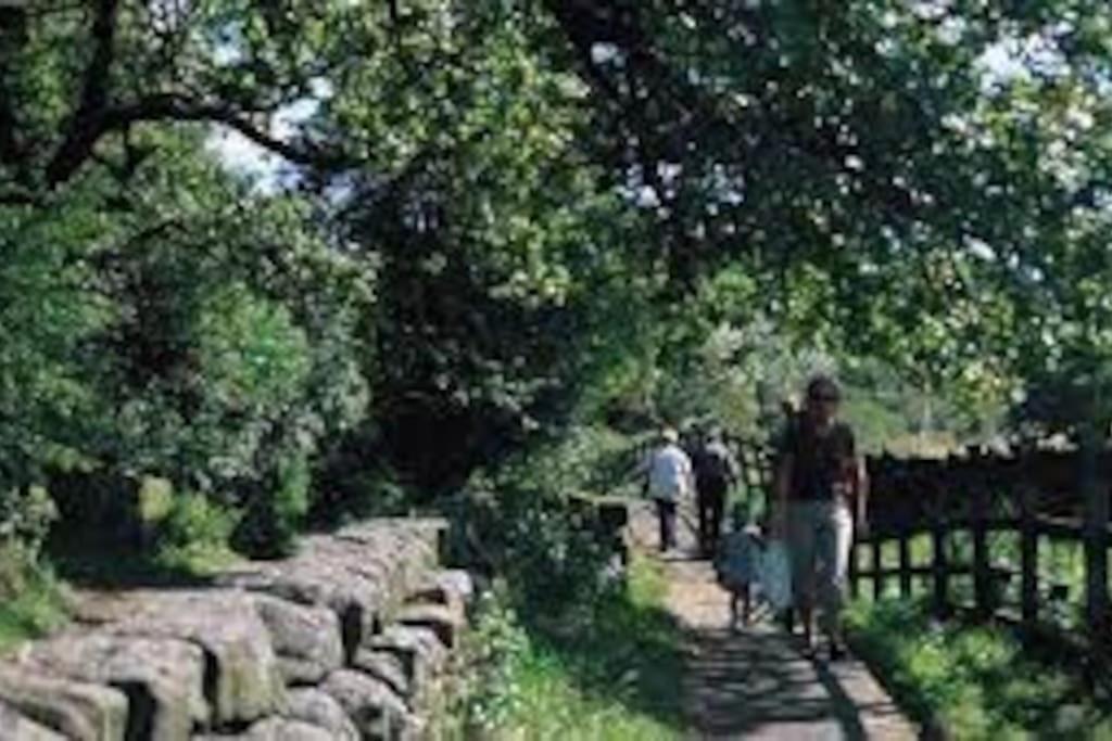 Rita's Roost, Lancs, Tranquil With Amazing Views Burnley